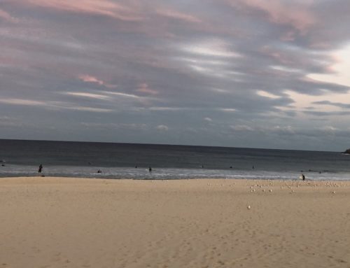 Swimming in the time of COVID-19