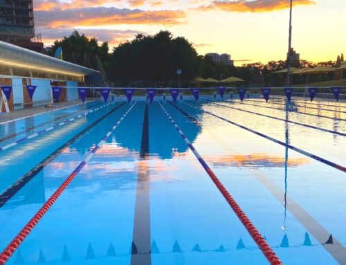 Different Strokes Swimming Newsletter January 21st